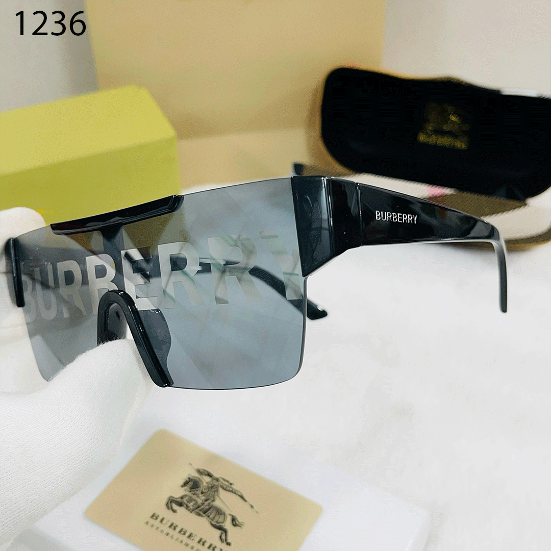 BB Premium Luxe 1236 Wayfarers