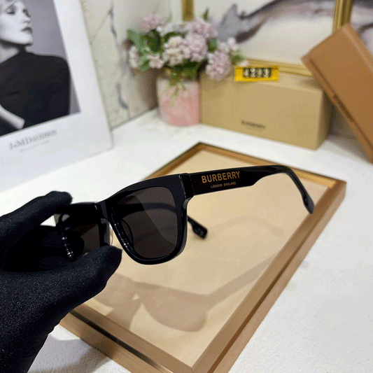 BB Premium Luxury 4293 Wayfarers (Mirror Quality)