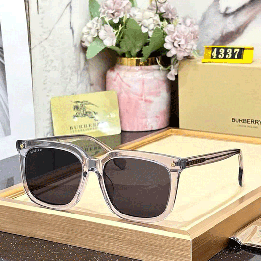 BB Premium 4337 Wayfarers