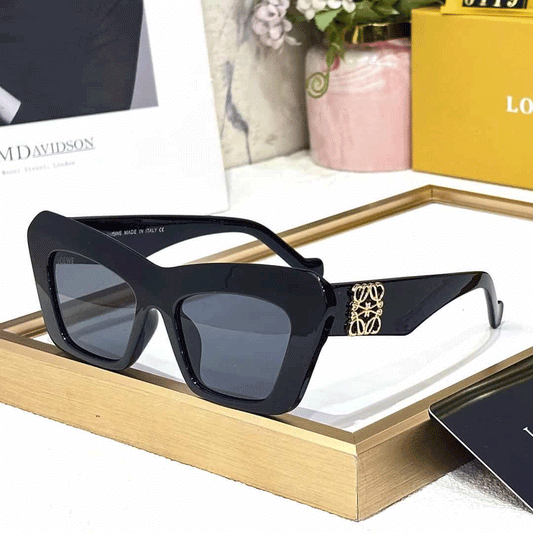 LOEWE Premium Luxury Women’s 6119 Wayfarer