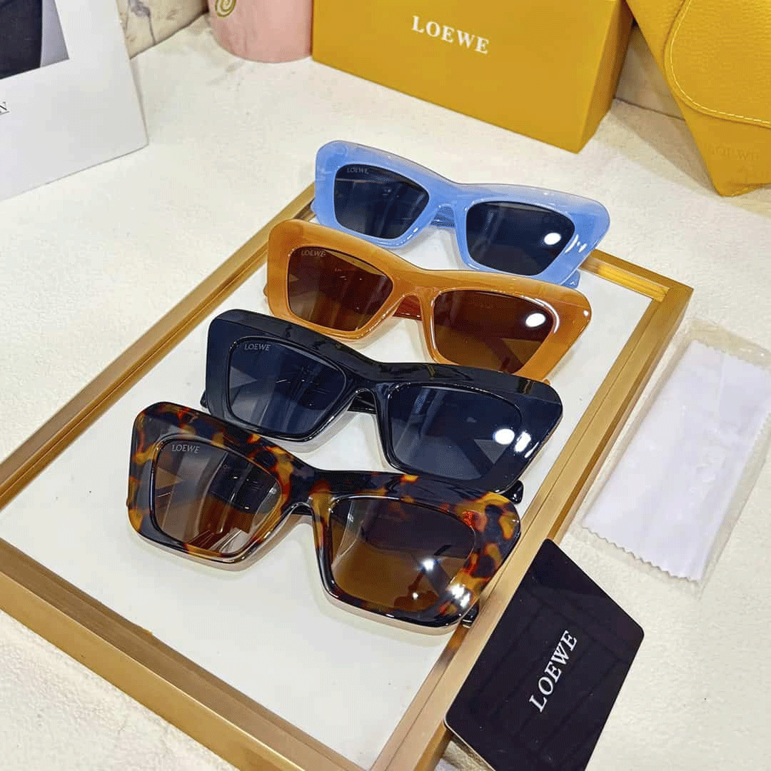 LOEWE Premium Luxury Women’s 6119 Wayfarer