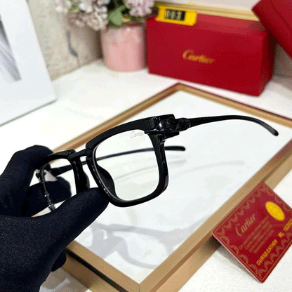 CRT Premium Luxury 003 Wayfarers