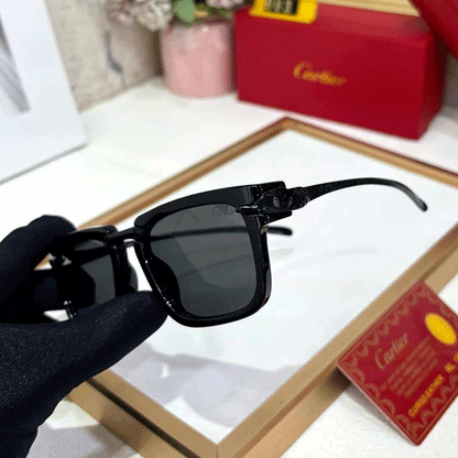 CRT Premium Luxury 003 Wayfarers