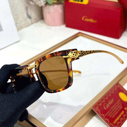 CRT Premium Luxury 003 Wayfarers