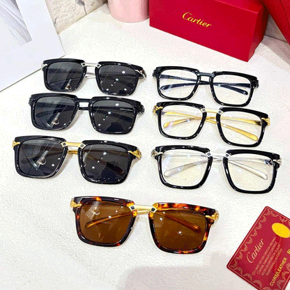 CRT Premium Luxury 003 Wayfarers