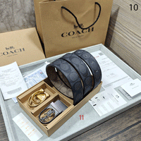 CH Premium Luxury Edition Unisex 10 Belt