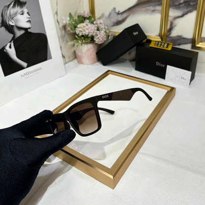 DR Luxury PREMIUM 2328 Wayfarers