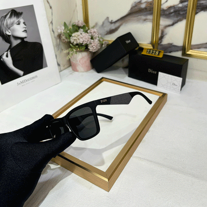 DR Luxury PREMIUM 2328 Wayfarers