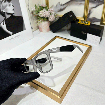 DR Luxury PREMIUM 2328 Wayfarers