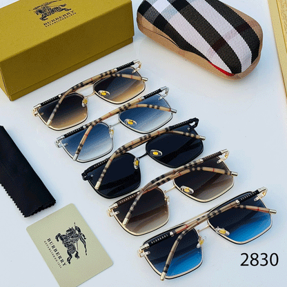 BB PREMIUM LUXURY 2830 WAYFARERS