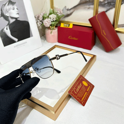 CRT Supreme Luxe 393 Wayfarers