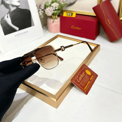 CRT Supreme Luxe 393 Wayfarers