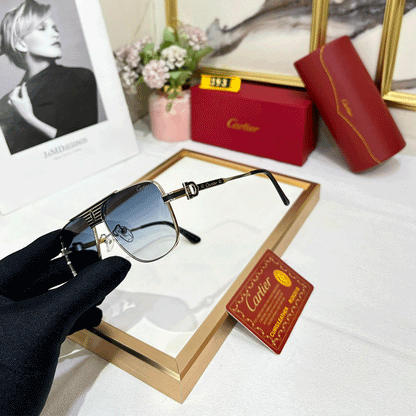 CRT Supreme Luxe 393 Wayfarers