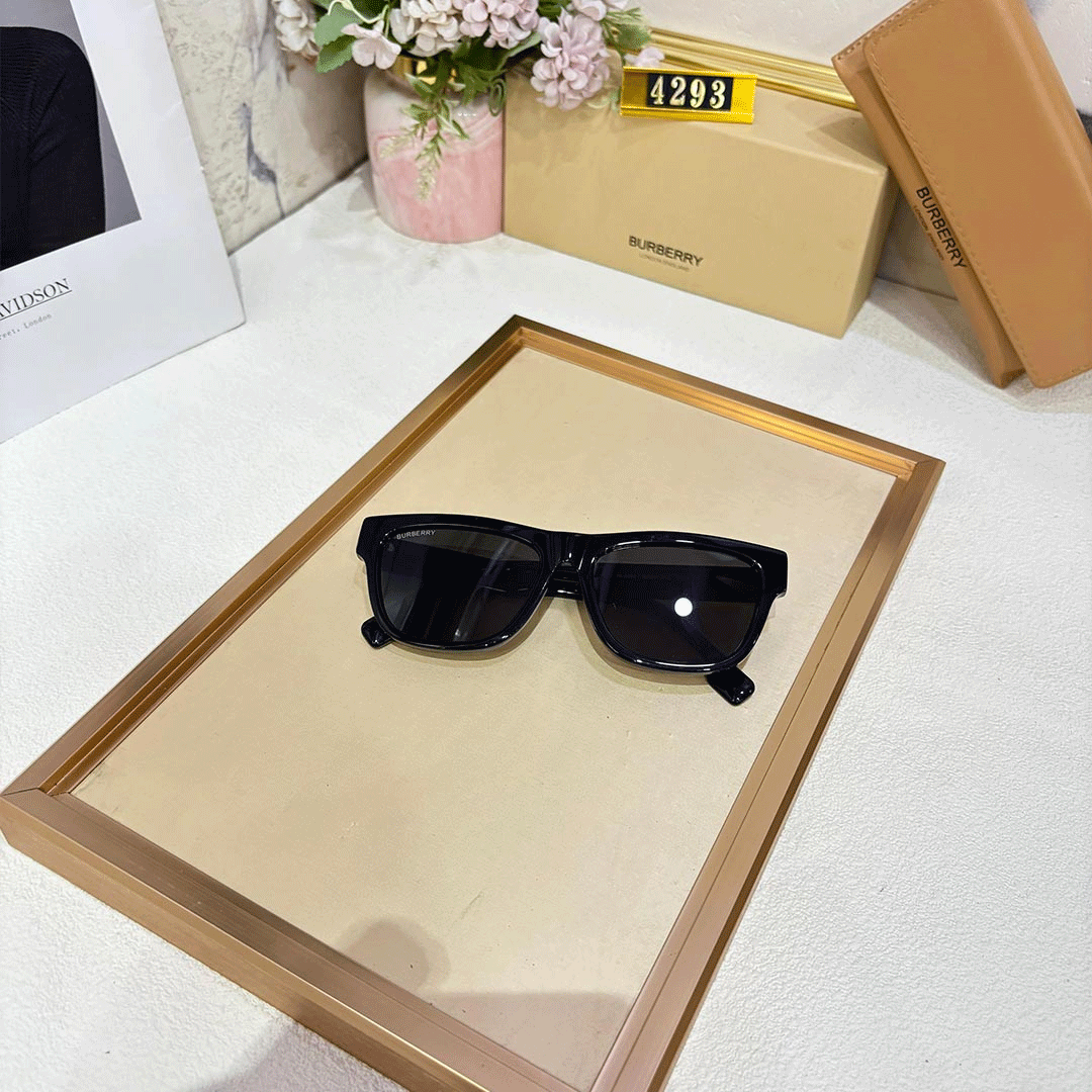 BB Premium Luxury 4293 Wayfarers (Mirror Quality)