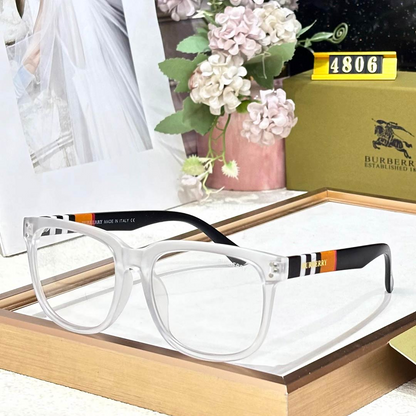 BB Premium Luxury 4806 Wayfarers