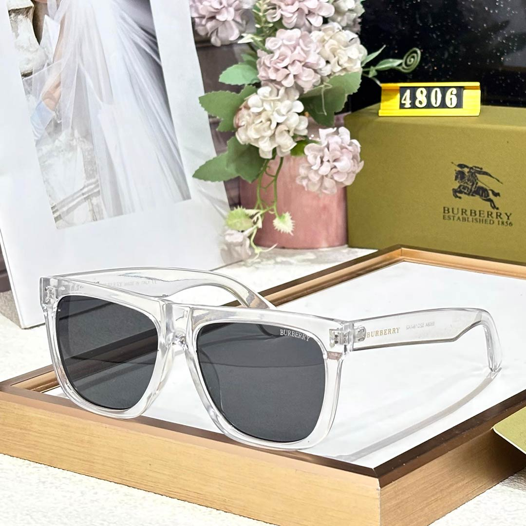 BB Premium Luxury 4806 Wayfarers