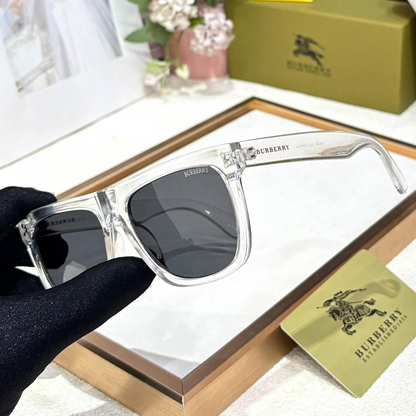 BB Premium Luxury 4806 Wayfarers
