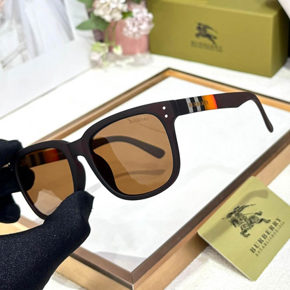 BB Premium Luxury 4806 Wayfarers