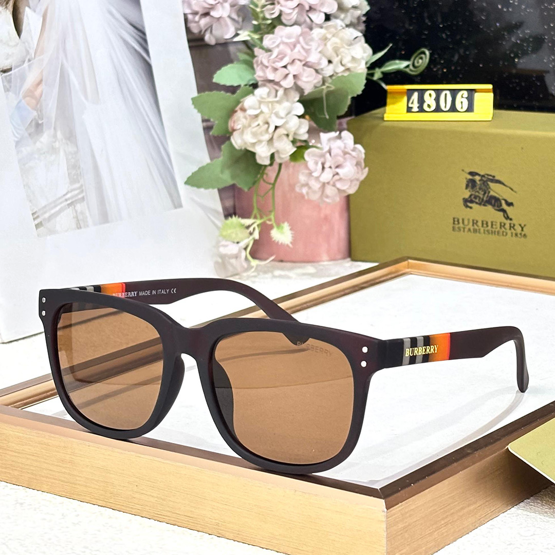 BB Premium Luxury 4806 Wayfarers