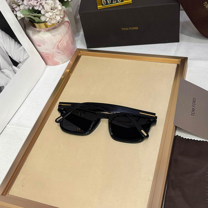 TMF Premium Luxury 6025 Wayfarers