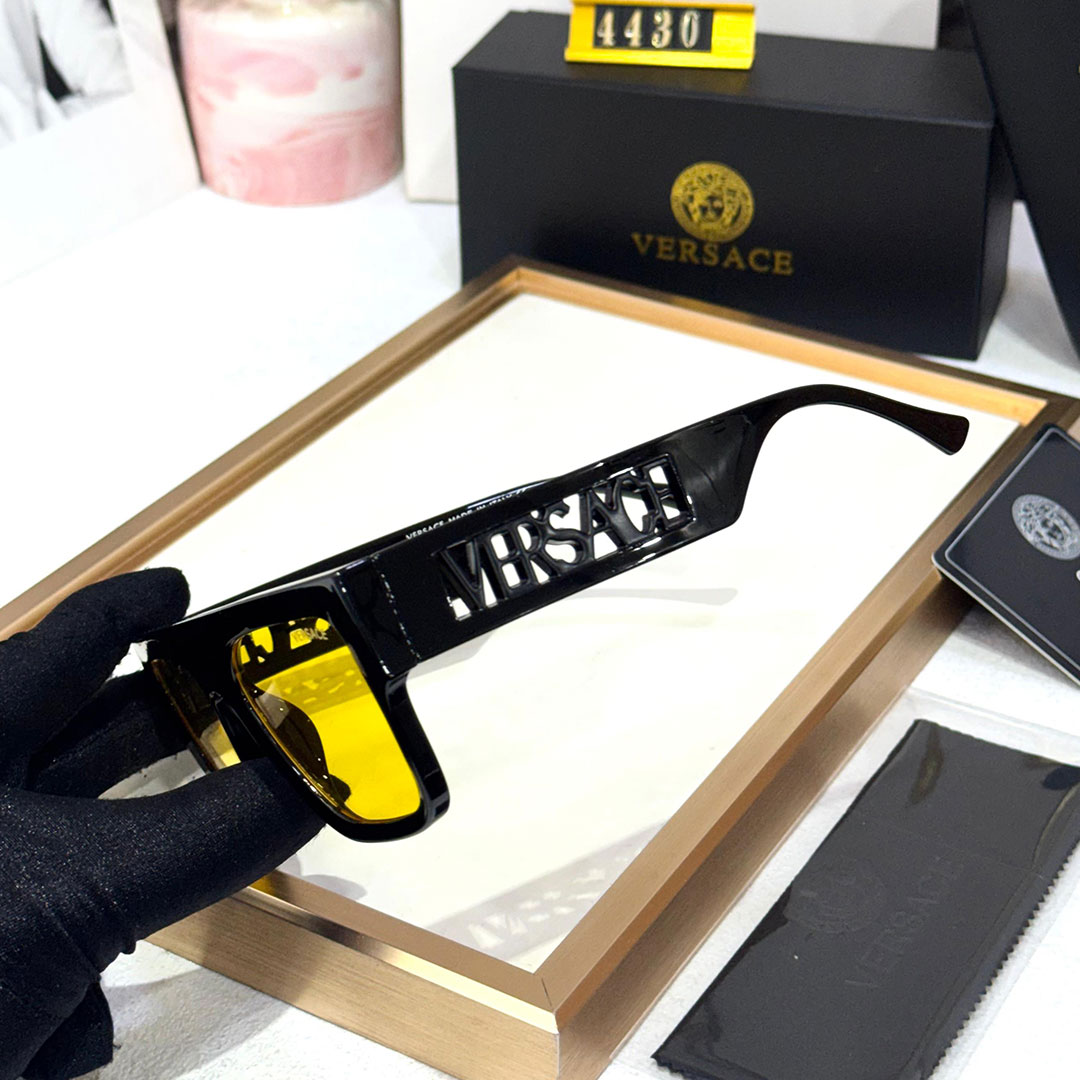 VRSCE Luxury Premium 4430 WAYFARERS