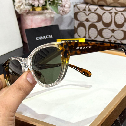 CH Premium Luxury 5011 Women Wayfarers