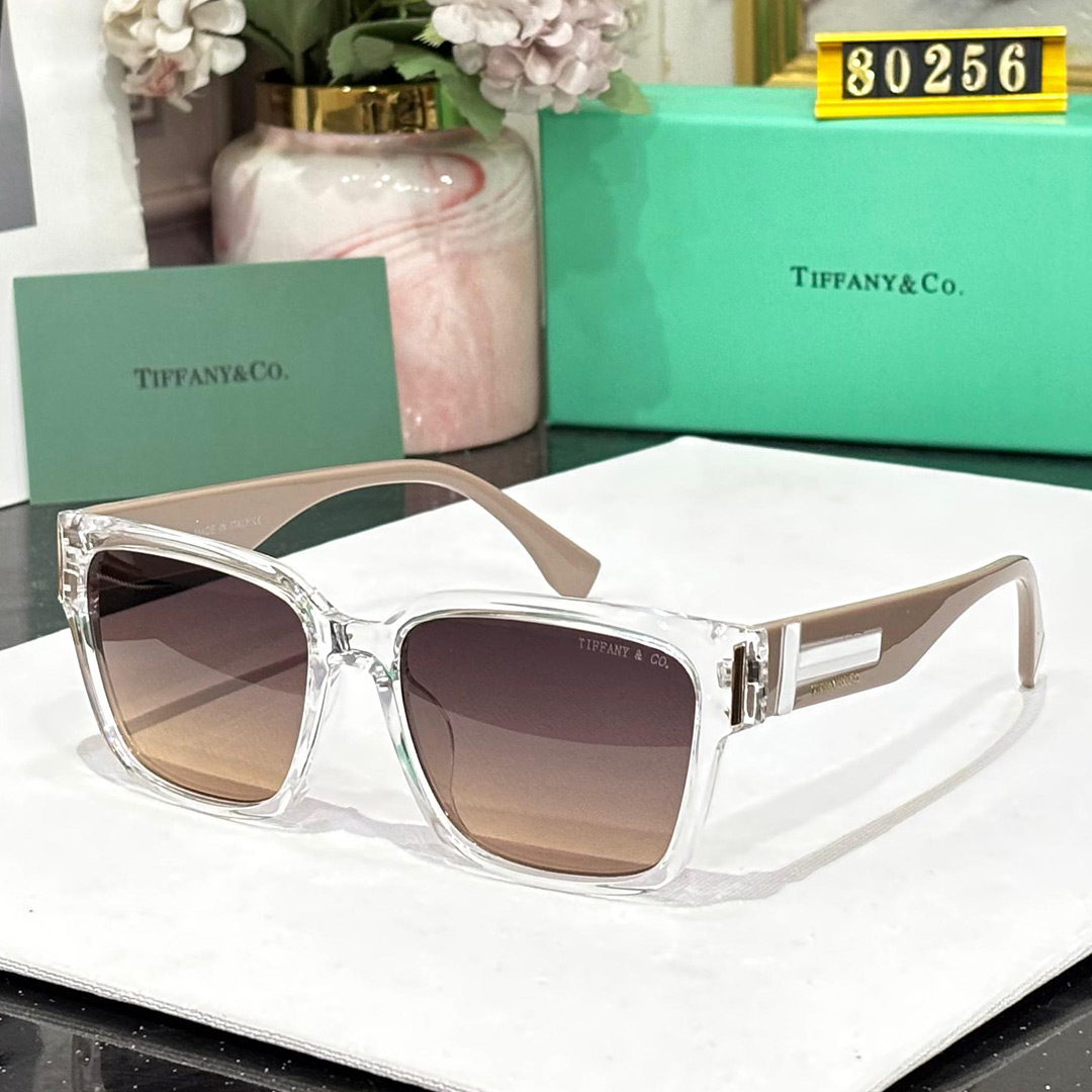 TFNY Premium Luxury 80256 Wayfarers