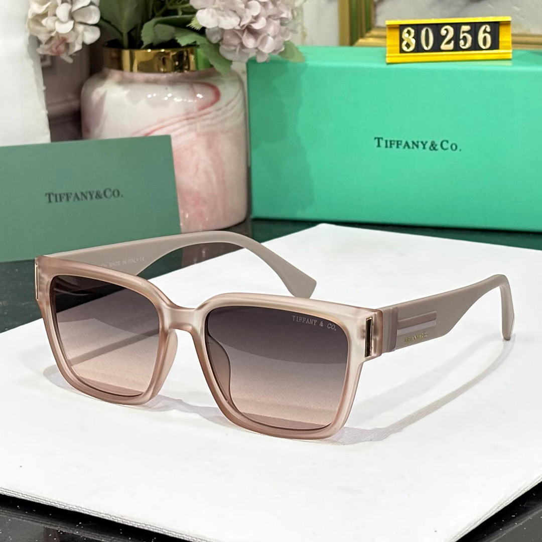 TFNY Premium Luxury 80256 Wayfarers