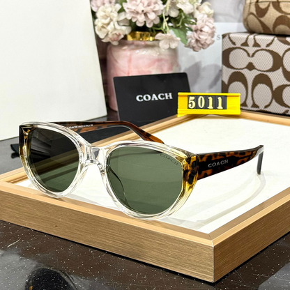 CH Premium Luxury 5011 Women Wayfarers