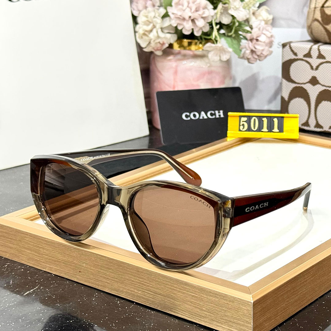 CH Premium Luxury 5011 Women Wayfarers