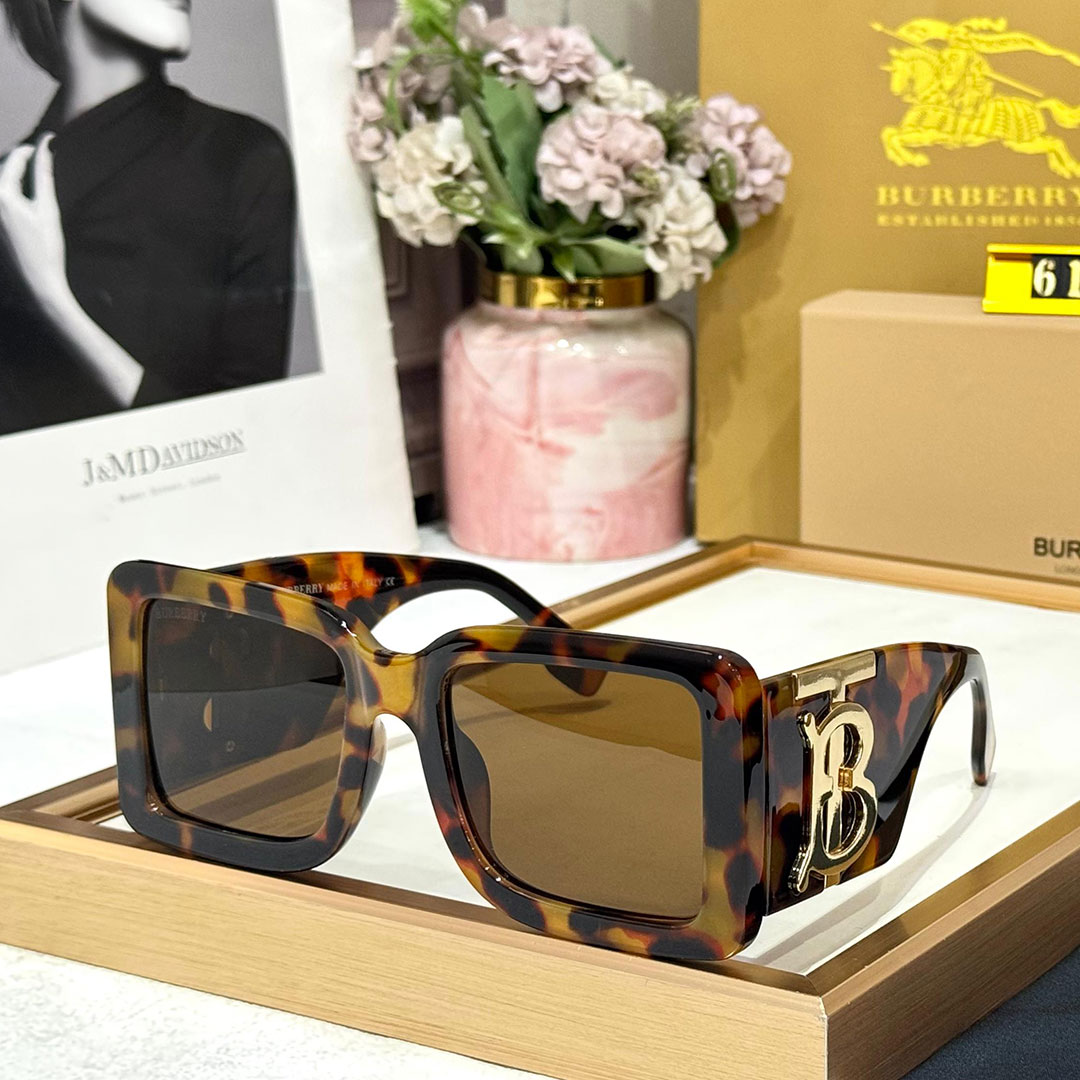 BB Premium Luxury 6176 WAYFARERS