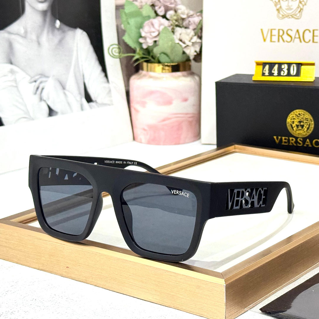 VRSCE Luxury Premium 4430 WAYFARERS