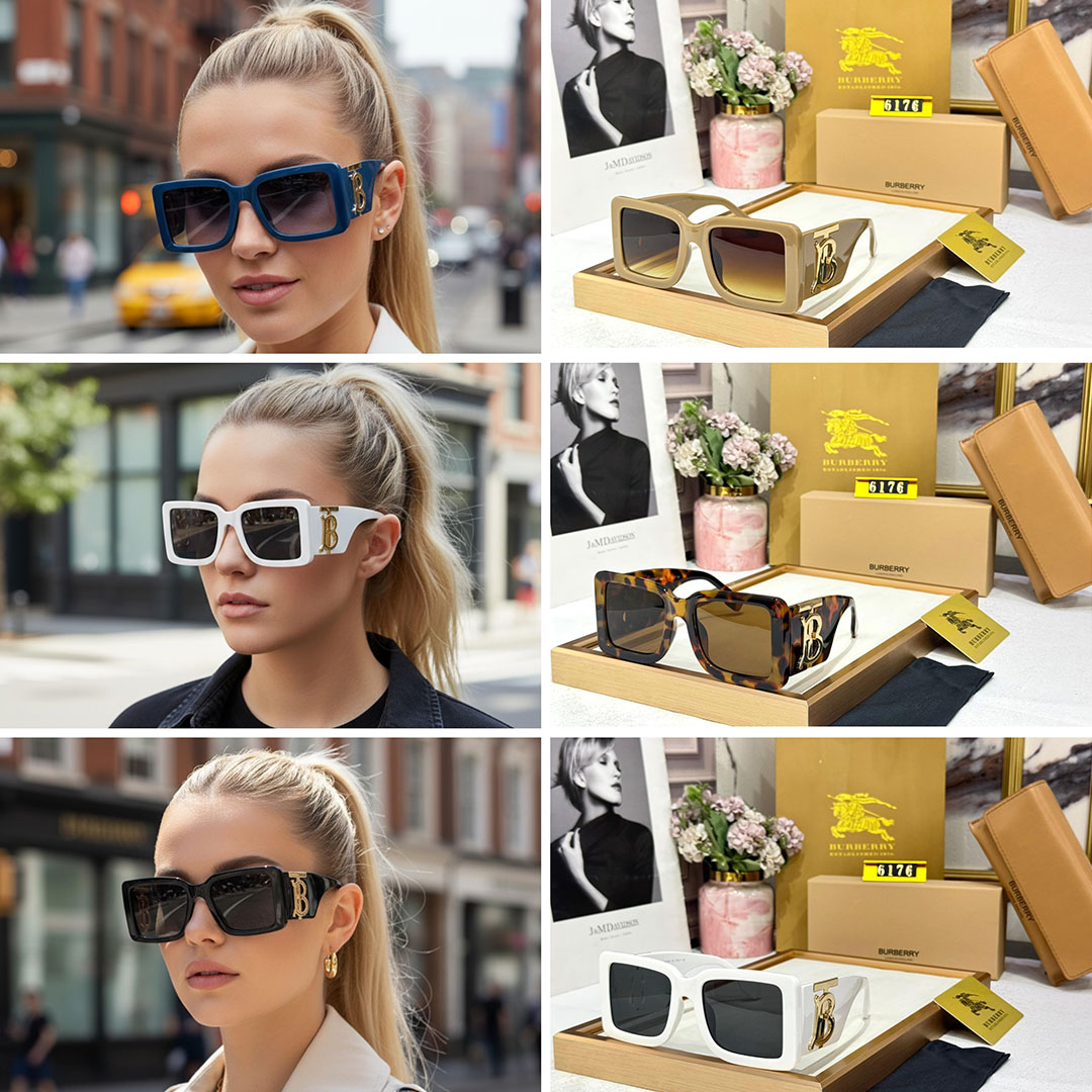 BB Premium Luxury 6176 WAYFARERS