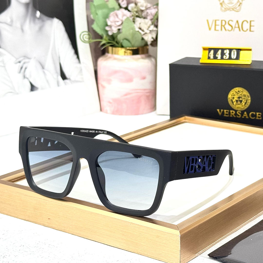 VRSCE Luxury Premium 4430 WAYFARERS